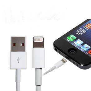 iPhone 5 USB cable